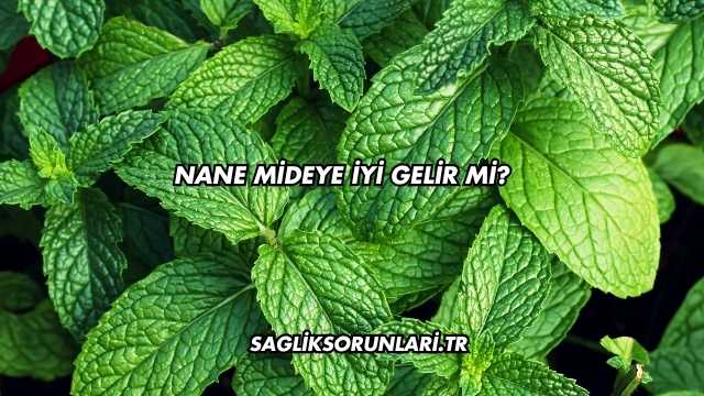 Nane Mideye İyi Gelir mi?