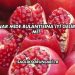 Nar Mide Bulantısına İyi Gelir mi?