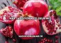 Nar Tansiyona İyi Gelir mi?