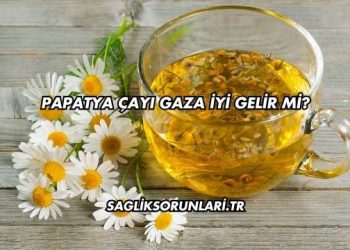 Papatya Çayı Gaza İyi Gelir mi?