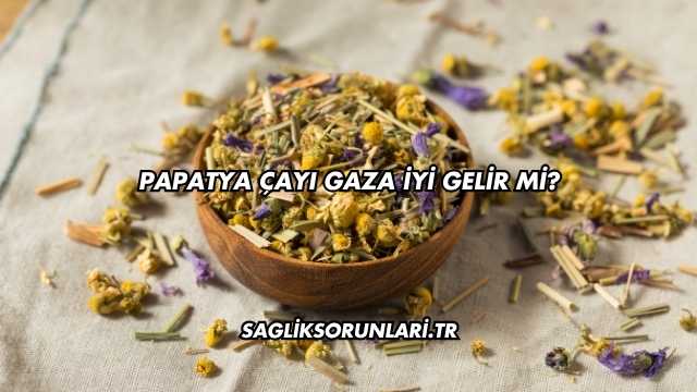 Papatya Çayı Gaza İyi Gelir mi?