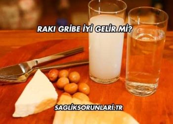 Rakı Gribe İyi Gelir mi?