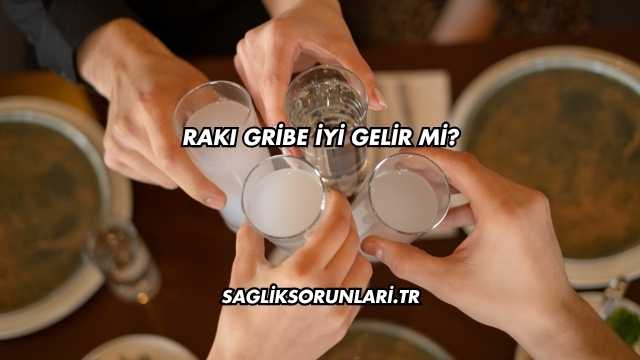 Rakı Gribe İyi Gelir mi?