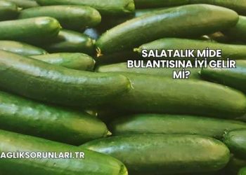 Salatalık Mide Bulantısına İyi Gelir mi?