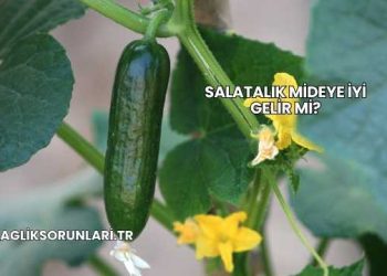 Salatalık Mideye İyi Gelir mi?