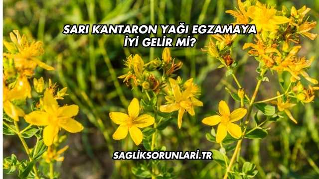 Sarı Kantaron Yağı Egzamaya İyi Gelir mi?