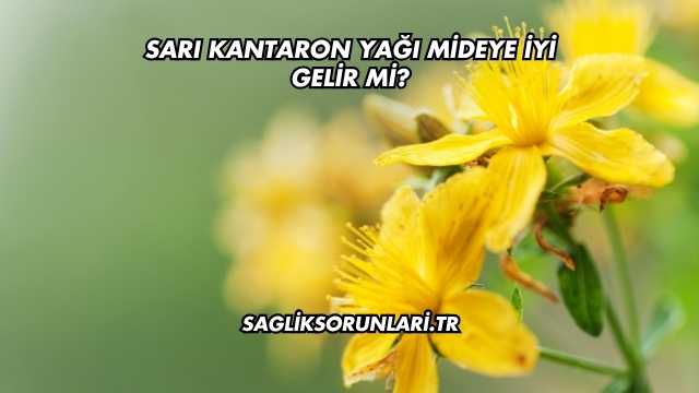 Sarı Kantaron Yağı Mideye İyi Gelir mi?
