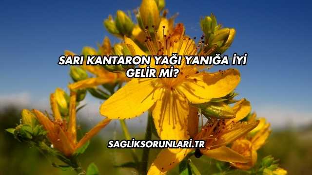 Sarı Kantaron Yağı Yanığa İyi Gelir mi?