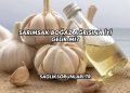 Sarımsak Boğaz Ağrısına İyi Gelir mi?