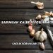 Sarımsak Kalbe İyi Gelir mi?