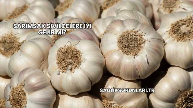 Sarımsak Sivilcelere İyi Gelir mi?