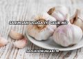 Sarımsak Kulağa İyi Gelir mi?