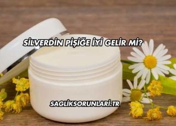 Silverdin Pişiğe İyi Gelir mi?