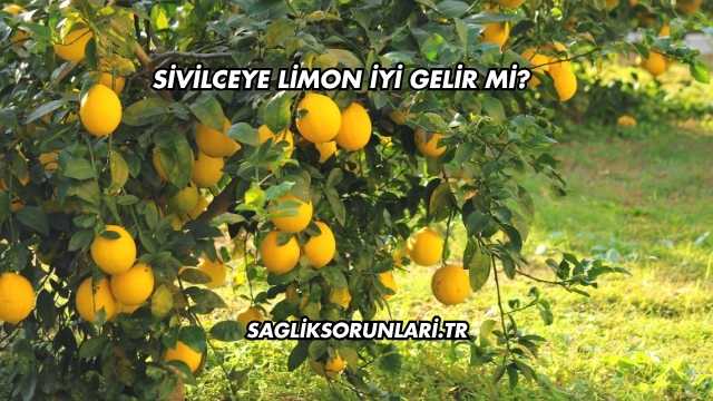 Sivilceye Limon İyi Gelir mi?