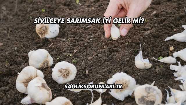Sivilceye Sarımsak İyi Gelir mi?