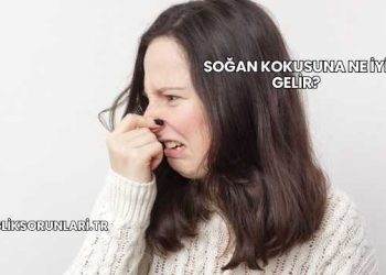 Soğan Kokusuna Ne İyi Gelir?