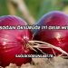 Soğan Öksürüğe İyi Gelir mi?