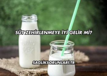Süt Zehirlenmeye İyi Gelir mi?