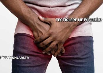 Testislere Ne İyi Gelir?