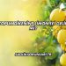 Topuk Dikenine Limon İyi Gelir mi?