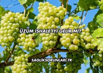 Üzüm İshale İyi Gelir mi?