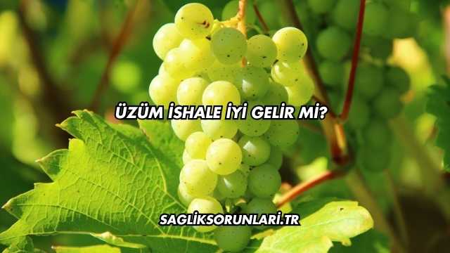 Üzüm İshale İyi Gelir mi?