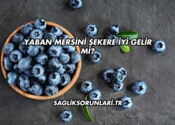 Yaban Mersini Şekere İyi Gelir mi?