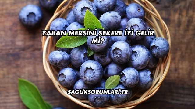 Yaban Mersini Şekere İyi Gelir mi?