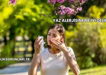 Yaz Alerjisine Ne İyi Gelir?
