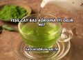 Yeşil Çay Baş Ağrısına İyi Gelir mi?