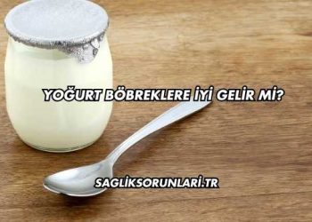 Yoğurt Böbreklere İyi Gelir mi?