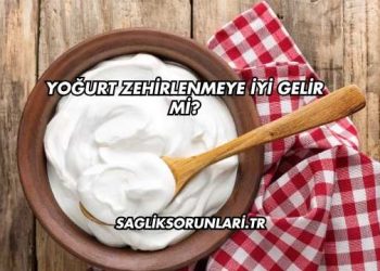 Yoğurt Zehirlenmeye İyi Gelir mi?