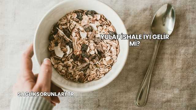 Yulaf İshale İyi Gelir mi?