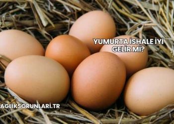Yumurta İshale İyi Gelir mi?