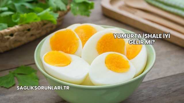 Yumurta İshale İyi Gelir mi?