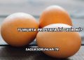 Yumurta Prostata İyi Gelir mi?