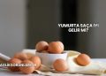 Yumurta Saça İyi Gelir mi?