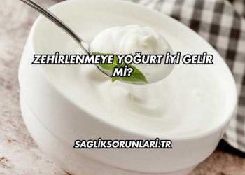 Zehirlenmeye Yoğurt İyi Gelir mi?