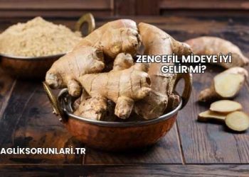 Zencefil Mideye İyi Gelir mi?