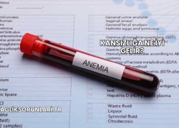 Kansızlığa Ne İyi Gelir?