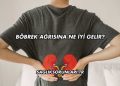 Böbrek Ağrısına Ne İyi Gelir?