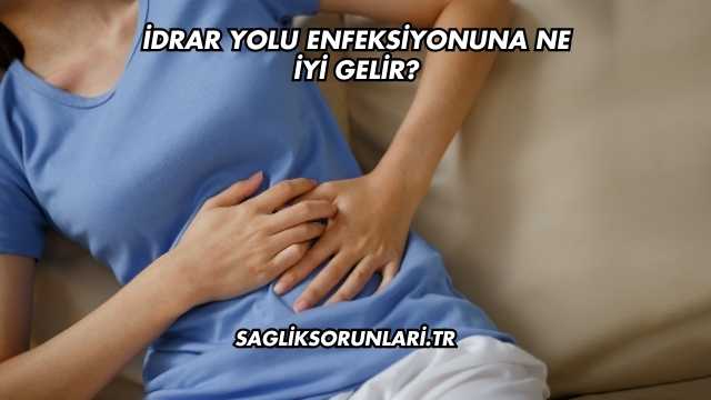 İdrar Yolu Enfeksiyonuna Ne İyi Gelir?