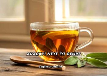 Adaçayı Neye İyi Gelir?