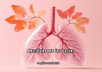 Akciğere Ne İyi Gelir?
