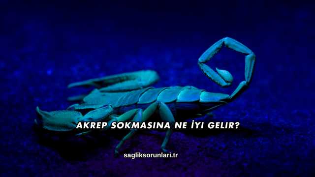Akrep Sokmasına Ne İyi Gelir?