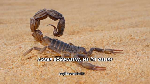 Akrep Sokmasına Ne İyi Gelir?