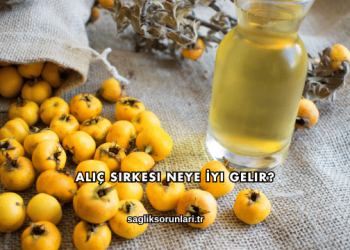 Alıç Sirkesi Neye İyi Gelir?