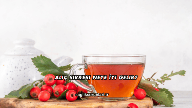Alıç Sirkesi Neye İyi Gelir?