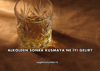 Alkolden Sonra Kusmaya Ne İyi Gelir?