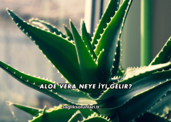 Aloe Vera Neye İyi Gelir?